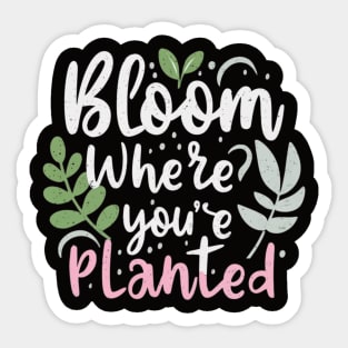 Bloom Where You're Planted" – A Message of Resilience and Growth Sticker